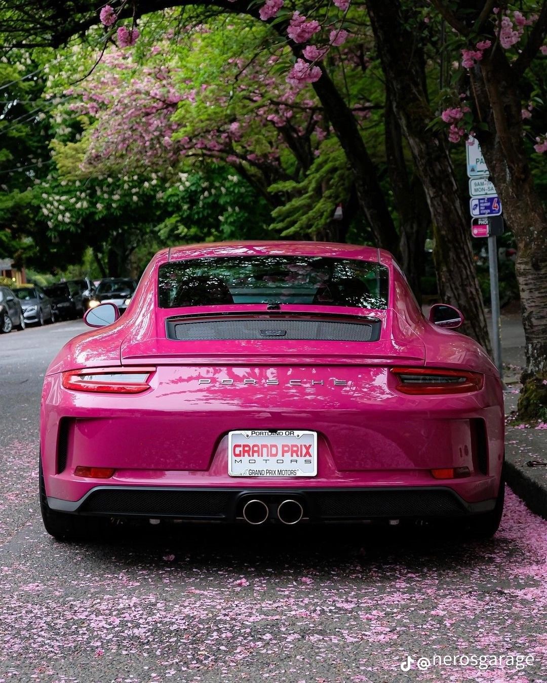 Ravoony Plus PET Gloss Star Ruby Car Vinyl Wrap