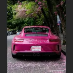 Ravoony Plus Gloss Star Ruby Car Vinyl Wrap