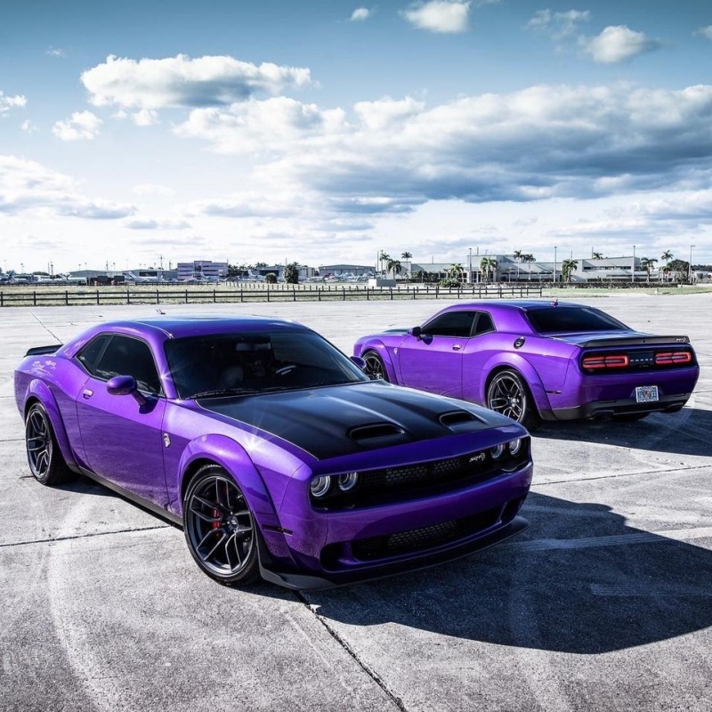 Universal DIY Cut Vinyl Car Wrap – Ravoony Plus Custom Fit Series