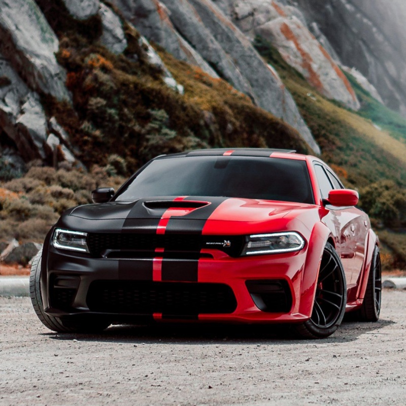 Universal DIY Cut Vinyl Car Wrap – Ravoony Plus Custom Fit Series