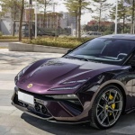 Ravoony Plus PET Gloss Metallic Eve Purple Car Vinyl Wrap