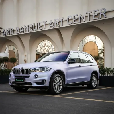 Ravoony Plus PET Matte Twin Silver Purple Car Vinyl Wrap 02