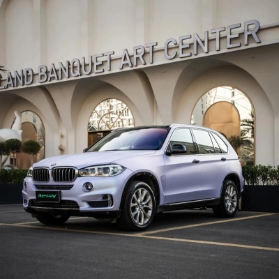 Ravoony Plus PET Matte Twin Silver Purple Car Vinyl Wrap 02