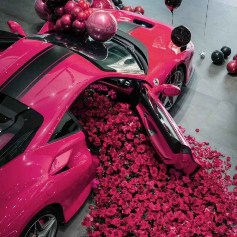 Ravoony Pro TPU Glossy Beetroot Purple PPF Film