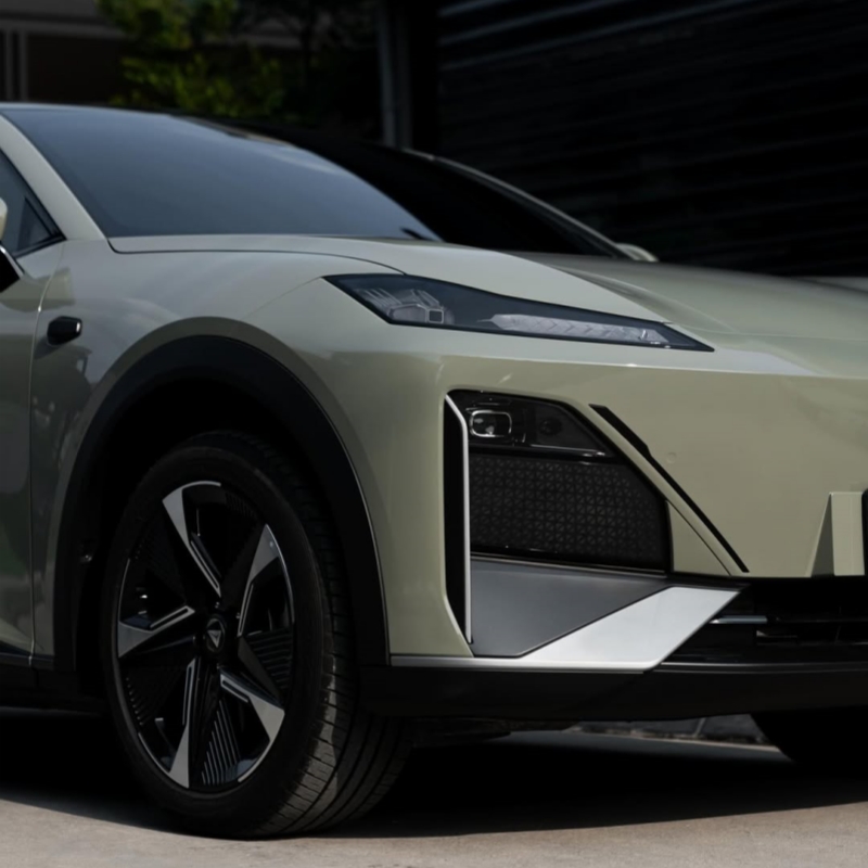 Ravoony Basic PET Glossy Light Khaki Green Car Wrap