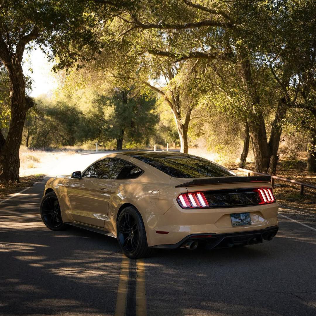 Ravoony Basic PET Gloss Sandstorm Car Wrap