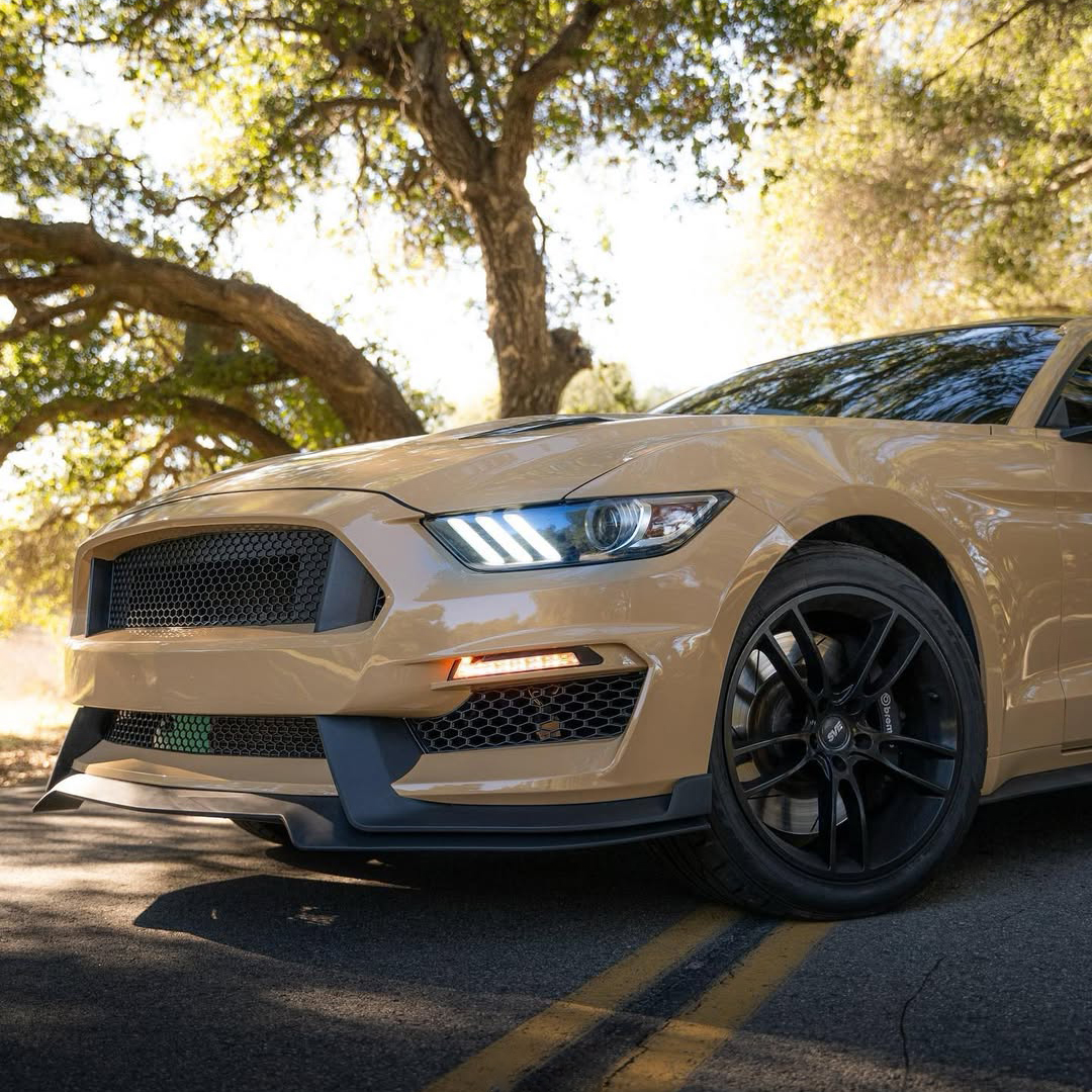 Ravoony Basic PET Gloss Sandstorm Car Wrap