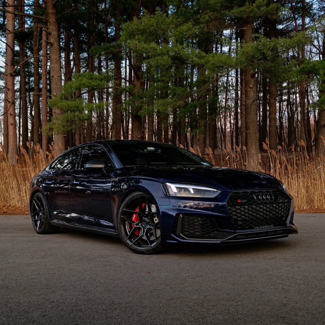 Ravoony Basic PET Glossy Crystal Midnight Blue Car Wrap