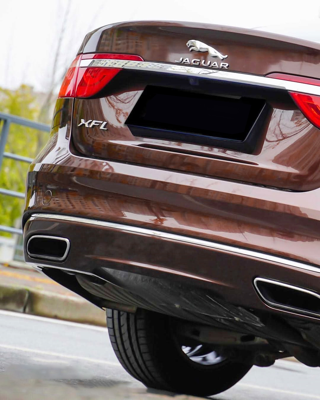 Ravoony Pro TPU Glossy Metallic Coffee Brown PPF Film