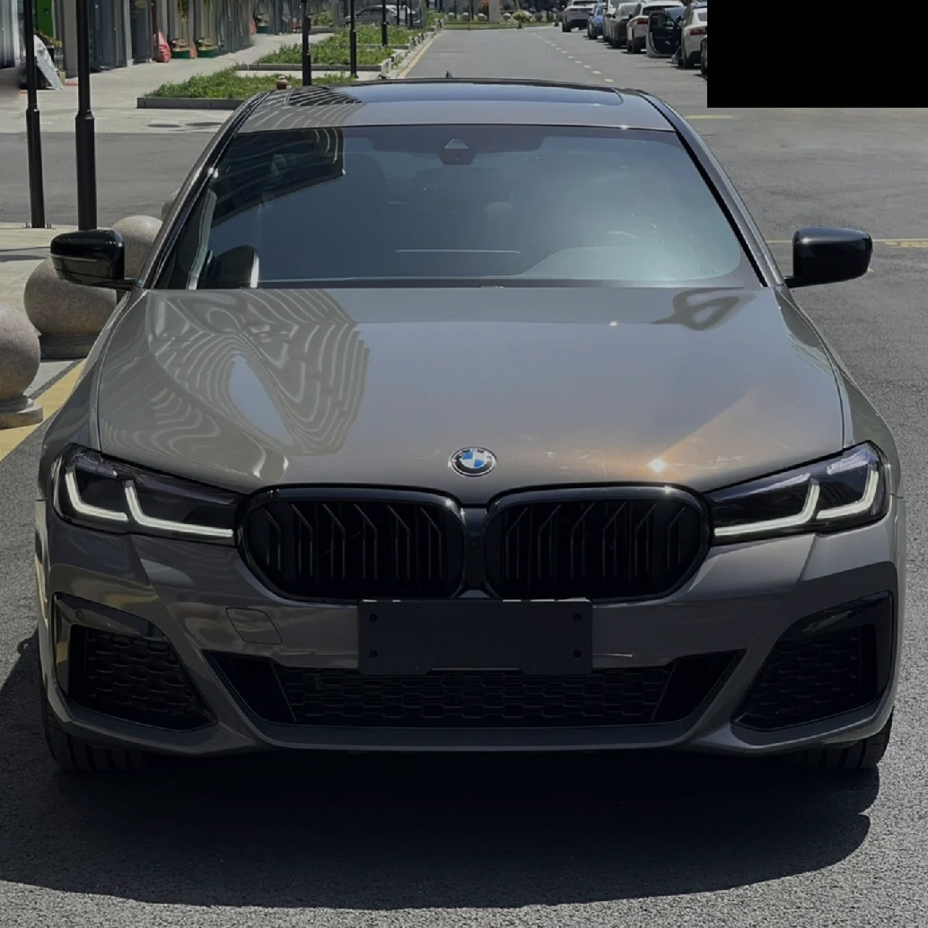 Ravoony Plus BMW Gloss Bernina Grey Car Vinyl Wrap