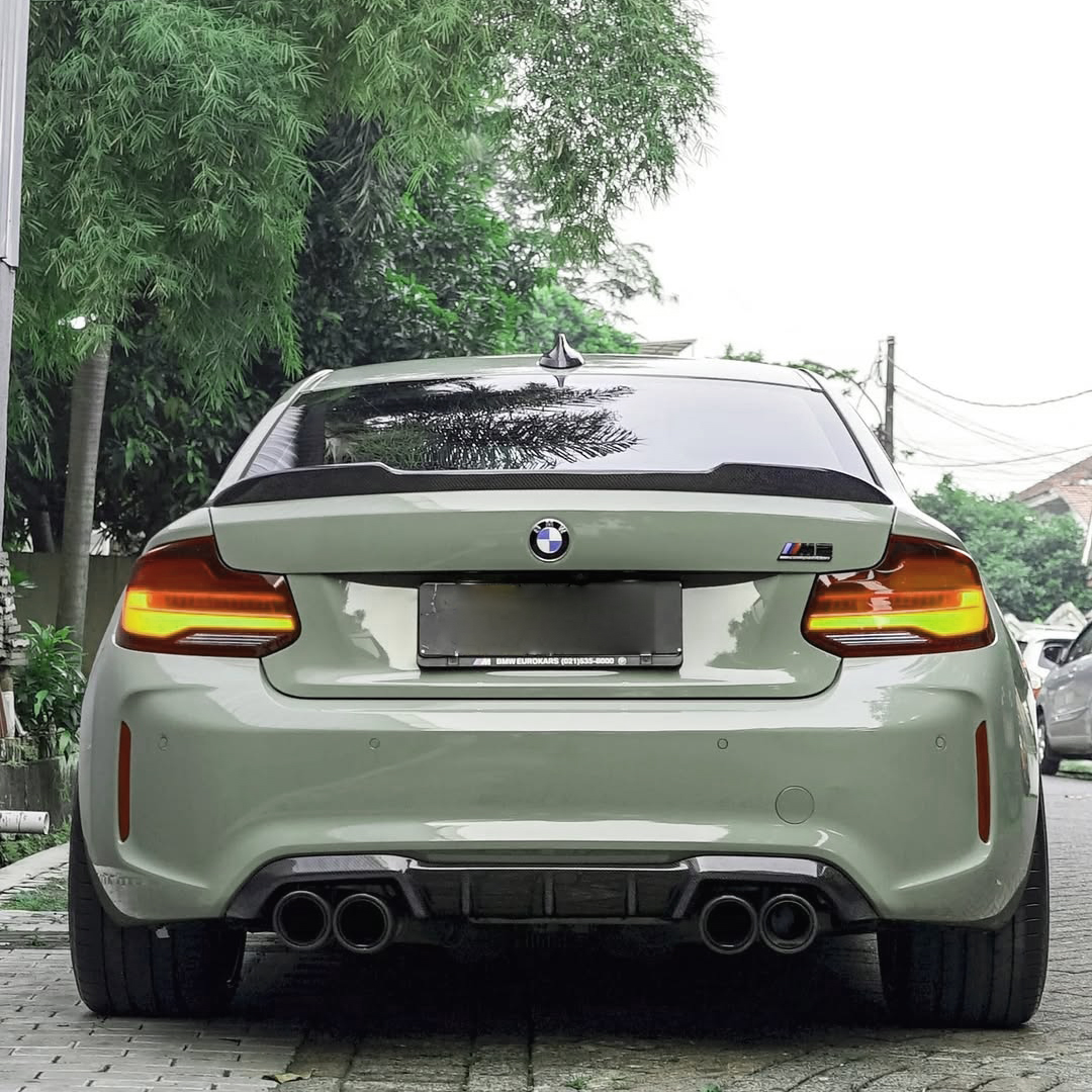 Ravoony Pro TPU Glossy Light Khaki Green PPF Film