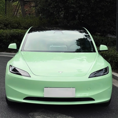 Ravoony Plus PET Ferrari Gloss Moss Green Vinyl Car Wrap 02