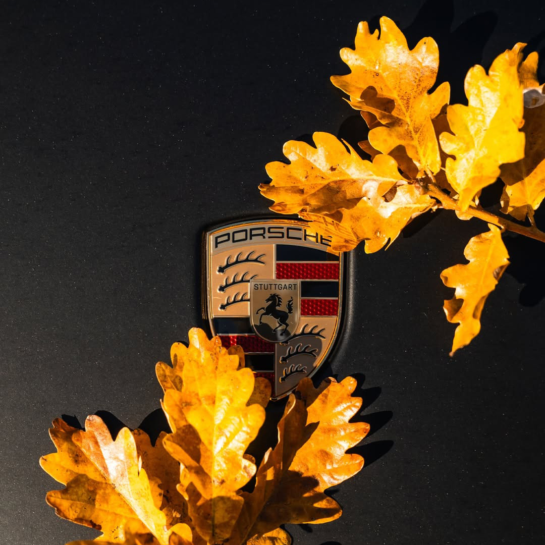 Ravoony Basic Pure Metal Black Car Vinyl Wrap