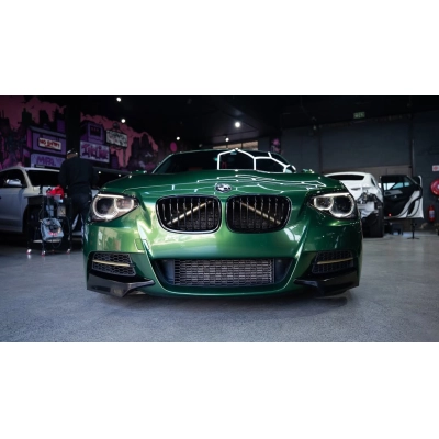 Ravoony Basic Metal Sonoma Green Car Vinyl Wrap 02