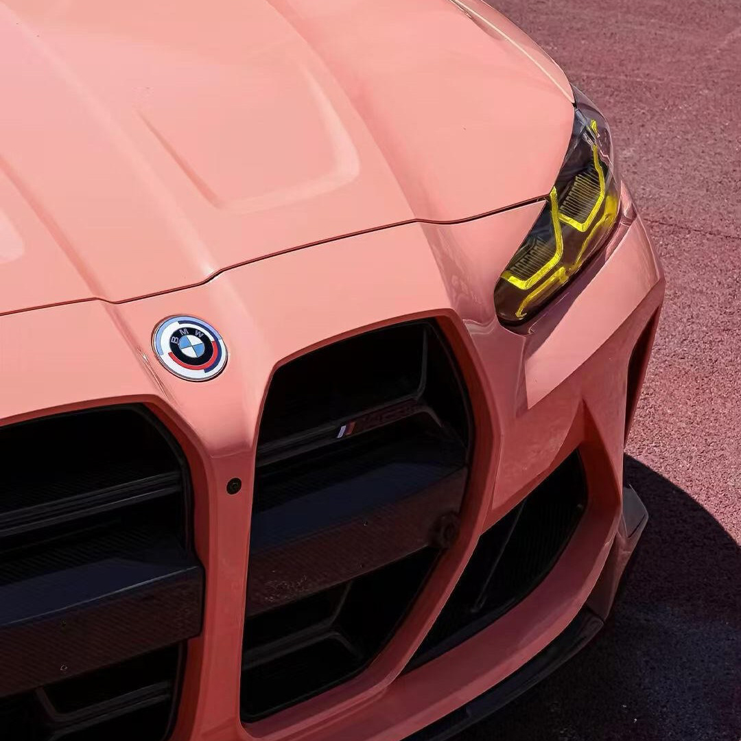 Ravoony Plus Glossy Paggy Pink Car Vinyl Wrap