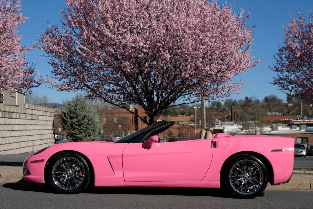 Ravoony Plus PET Glossy Princess Pink Vinyl Car Wrap 