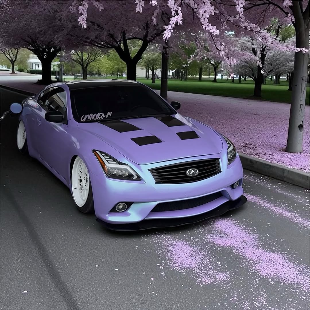 Ravoony Plus Twin Candy Purple Green Car Wrap