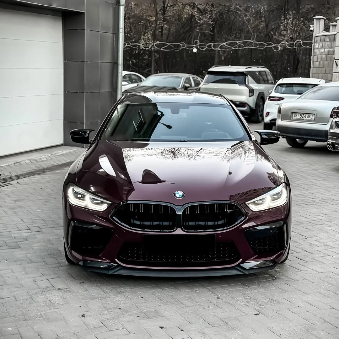 Ravoony Plus PET Gloss Metallic Eve Purple Car Vinyl Wrap