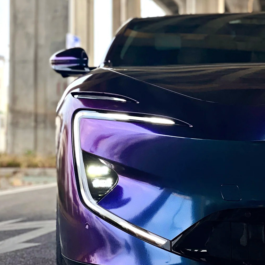 Ravoony Plus PET Purple And Red Chameleon Car Wrap