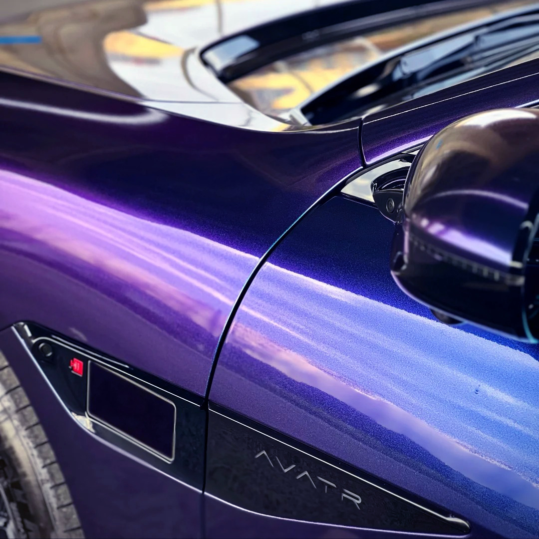 Ravoony Plus PET Purple And Red Chameleon Car Wrap