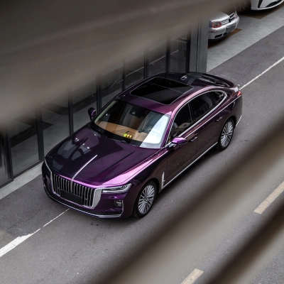 Ravoony Plus Gloss Metallic Gentian Purple Car Wrap 02