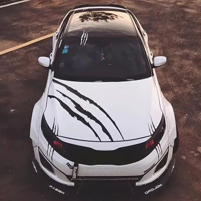 Ravoony Claw Mark Pattern Car Sticker 01