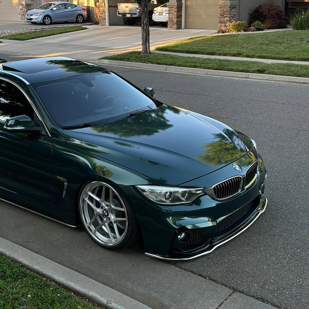 Ravoony Plus PET Blackish Green Car Vinyl Wrap