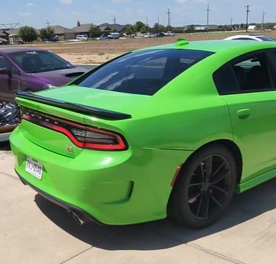 Ravoony Plus Lime Green Vinyl Wrap review Ellena Lobo 01