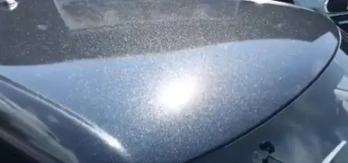 Ravoony Catechu Black Gloss Car Vinyl Wrap review 