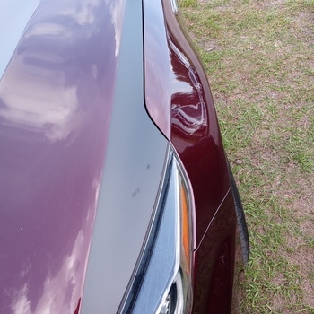 Ravoony Plus PET Matte Frosted Black Car Vinyl Wrap review Junior Majeur 00
