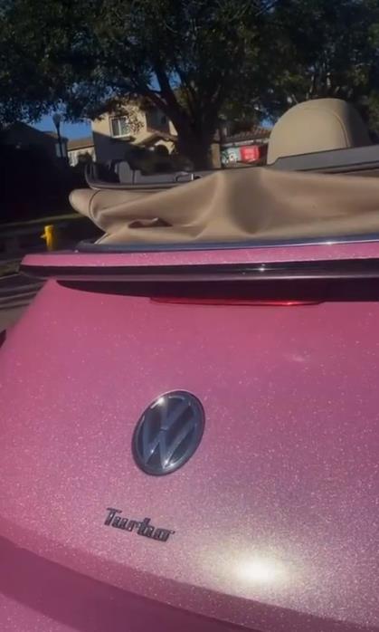 Ravoony Jellybean Pink Gloss Car Vinyl Wrap review 1