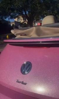 Ravoony Jellybean Pink Gloss Car Vinyl Wrap review 1