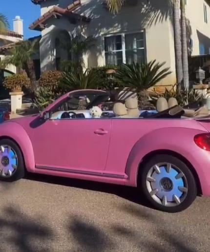 Ravoony Jellybean Pink Gloss Car Vinyl Wrap review 3