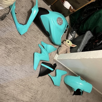 Ravoony Racing Tiffany Car Vinyl Wrap review 0