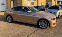 Ravoony Ashen Beige Metalic Gloss Car Vinyl Wrap review 0