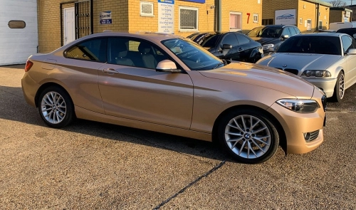 Ravoony Ashen Beige Metalic Gloss Car Vinyl Wrap review 