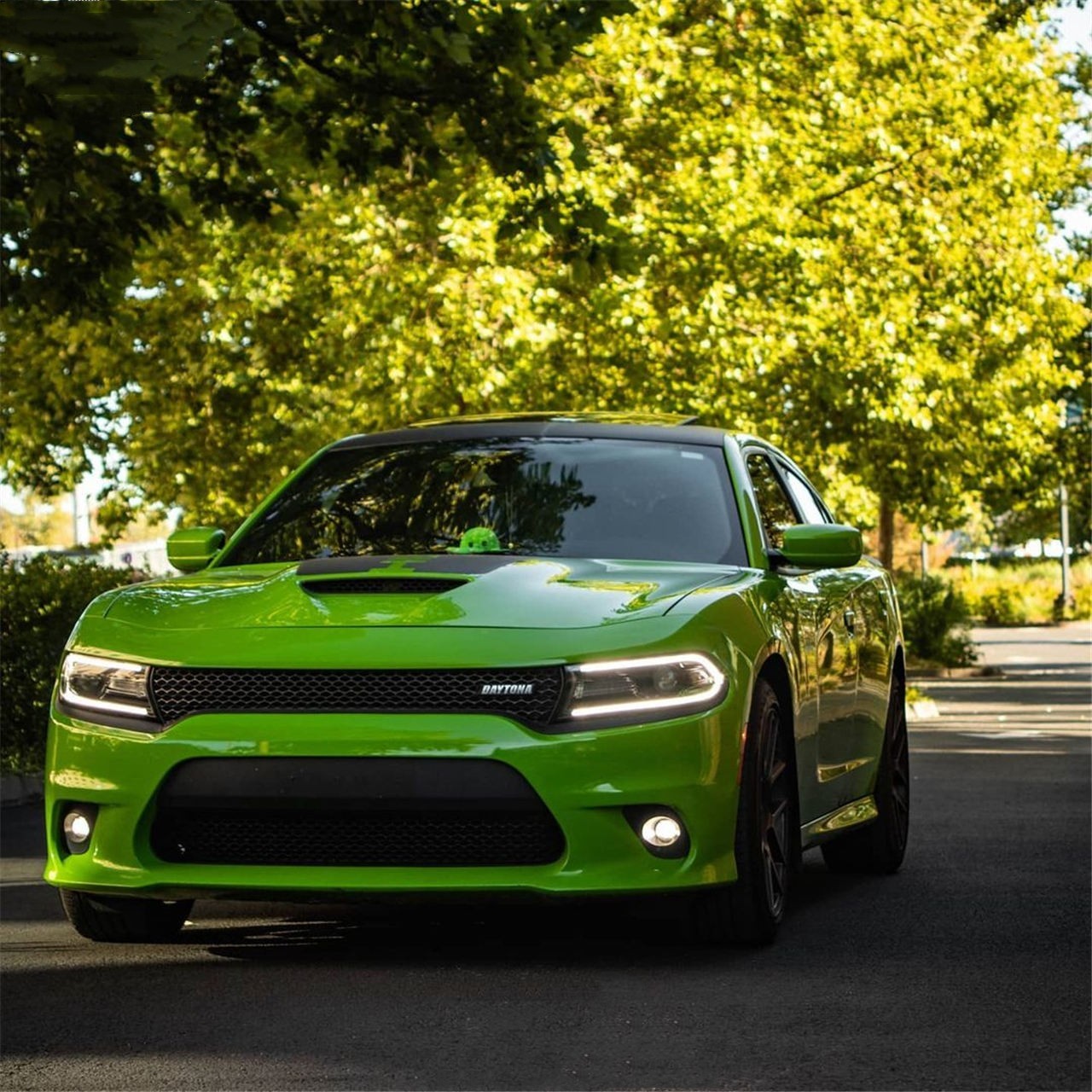 Ravoony Plus Lime Green Vinyl Wrap review Victoria Louise 00