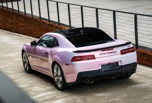 Ravoony Plus Glossy Flower Pink Car Wrap review 