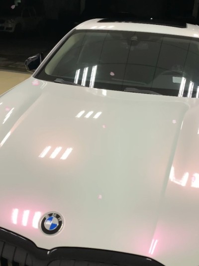 Ravoony Plus Glossy Flower Pink Car Wrap review Siamak Diba