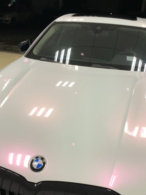Ravoony Plus Glossy Flower Pink Car Wrap review 