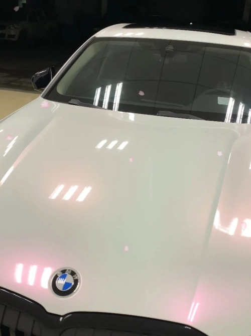 Ravoony Plus Glossy Flower Pink Car Wrap review 