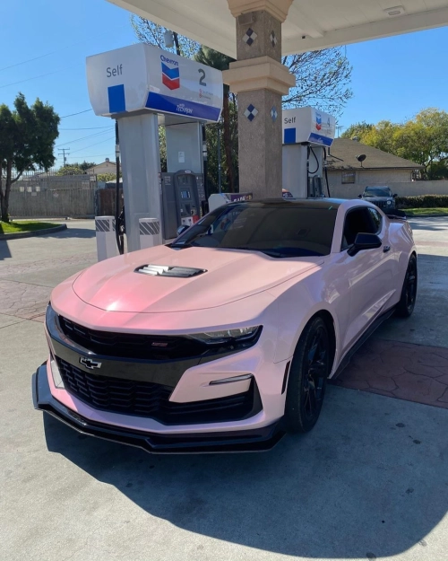Ravoony Plus Glossy Flower Pink Car Wrap review 