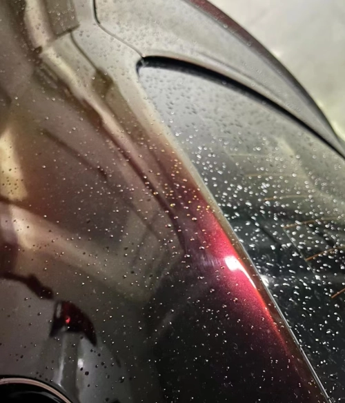 Ravoony Plus PET Gloss Black Rose Vinyl Wrap review 