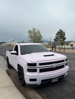 Ravoony Plus Glossy Flower Pink Car Wrap review Paloma Campa 04