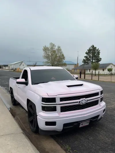 Ravoony Plus Glossy Flower Pink Car Wrap review Paloma Campa 03