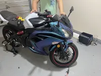 Ravoony Plus Purple And Blue Chameleon Car Wrap review 0