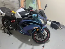 Ravoony Plus Purple And Blue Chameleon Car Wrap review Alec Brownm 01