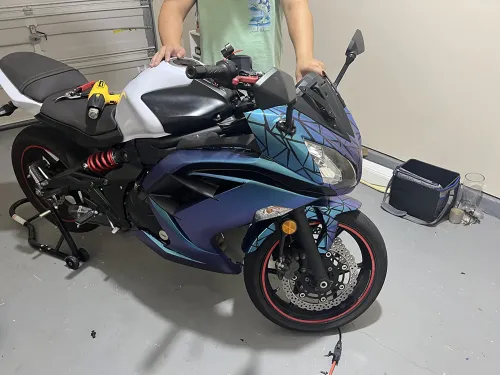 Ravoony Plus Purple And Blue Chameleon Car Wrap review 