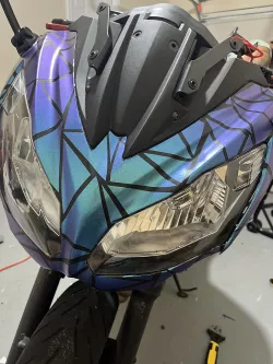 Ravoony Plus Purple And Blue Chameleon Car Wrap review Alec Brownm 02