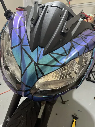 Ravoony Plus Purple And Blue Chameleon Car Wrap review Alec Brownm 01